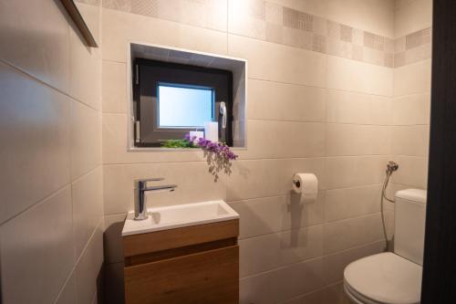 a bathroom with a sink and a toilet at Copanjek Country House in Plešivica