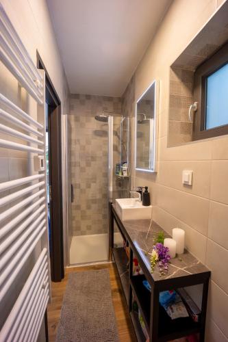 a bathroom with a sink and a shower at Copanjek Country House in Plešivica