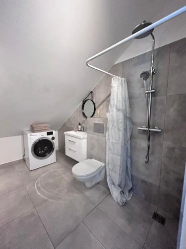 a bathroom with a toilet and a washing machine at Cozy and new apartment , 5km Palanga to the center. in Vydmantai