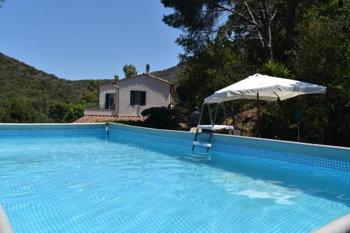 a swimming pool with an umbrella and a chair at Villa Podere I Cavalieri in SantʼAnna