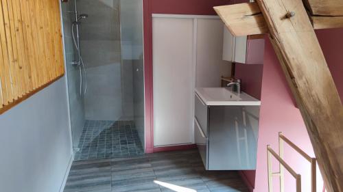 a small bathroom with a shower and a sink at GITE DE L'AETI JACUZZI PISCINE in Beine