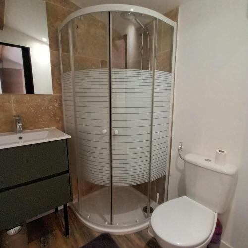 une salle de bain avec une douche, des toilettes et un lavabo dans l'établissement Studio LA MOUTONNE tt équipé 20 m2 10mn plages- hyeres - TRES CALME-, à La Crau