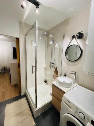 une salle de bain avec douche et lavabo et une machine à laver dans l'établissement Lille Saint Maur, à La Madeleine