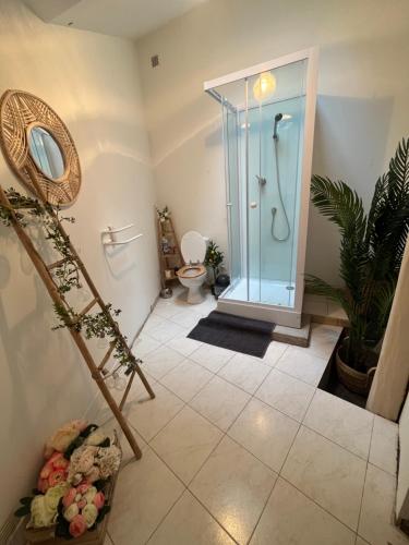 uma casa de banho com uma cabina de duche em vidro e um WC. em Chez Samantha au cœur d'Azay em Azay-le-Rideau