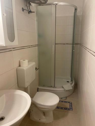 a bathroom with a shower and a toilet and a sink at Villa History in Crikvenica