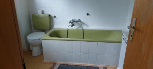 a bathroom with a green bath tub next to a toilet at Helles großes Zimmer mit eigenem Bad in Kassel