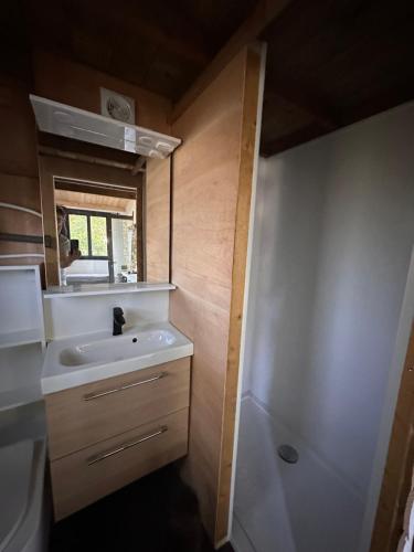 La petite salle de bains est pourvue d'un lavabo et d'un miroir. dans l'établissement Tiny house, à Saint-Lyphard
