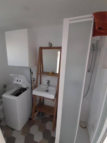 ein Bad mit einem Waschbecken und einem Spiegel in der Unterkunft Le Mialan t1 à la campagne à 10 minutes de Valence in Saint-Péray