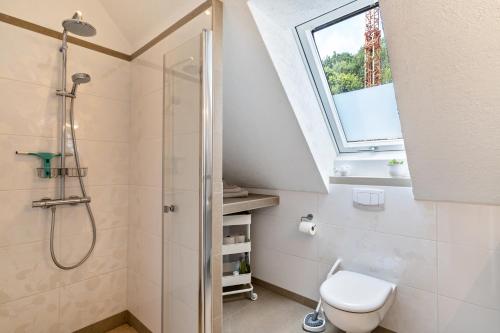 a bathroom with a shower and a toilet and a window at Haus 23 in Ettenheim