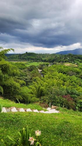 a view of a lush green field with trees at Alojamiento Reserva Natural La Maria in Armenia