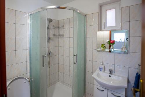 a bathroom with a shower and a sink at noclegi u zabki in Ełk