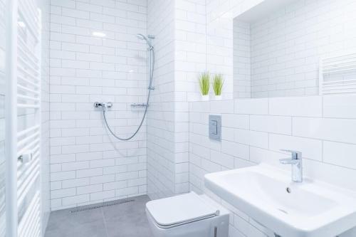 ein Bad mit einer Dusche, einem WC und einem Waschbecken in der Unterkunft Brno Center View Apartement A - with self check-in in Brünn