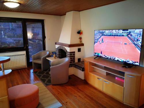 a living room with a tv with a tennis game on the screen at Apartment Sončni Mokec in Rečica ob Savinji