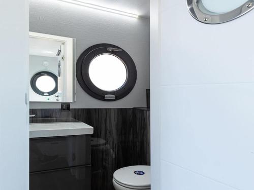 ein Badezimmer mit einem WC, einem Waschbecken und einem Spiegel in der Unterkunft Lovely houseboat in Kinrooi with terrace in Kinrooi