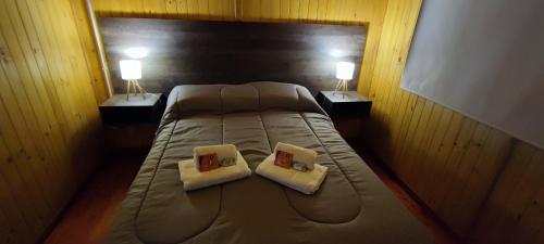 1 dormitorio con 1 cama con 2 almohadas en Cabañas Antawara Uspallata en Uspallata