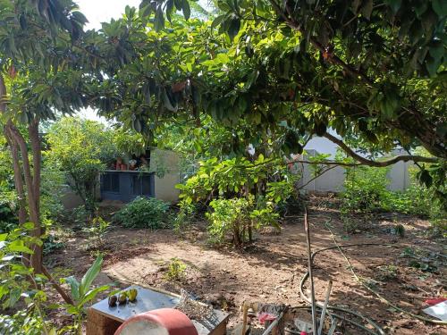 Jeevith – Photos 2