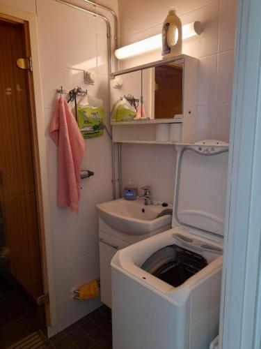 a small bathroom with a sink and a toilet at Laaksotie in Heinävesi