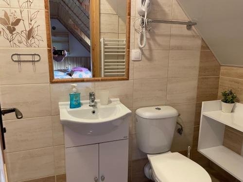 a bathroom with a toilet and a sink and a mirror at Penzion pod Tatrami in Ždiar