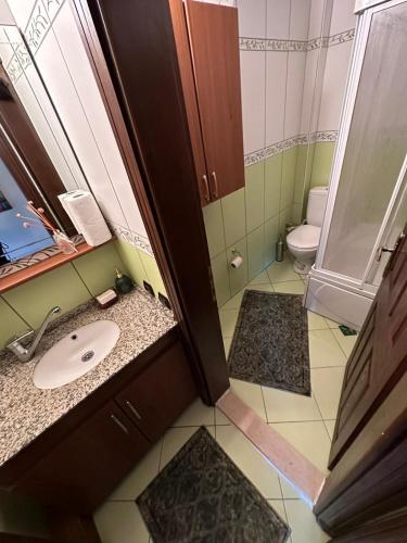 a small bathroom with a sink and a toilet at SİRİN VİLLA in Macka