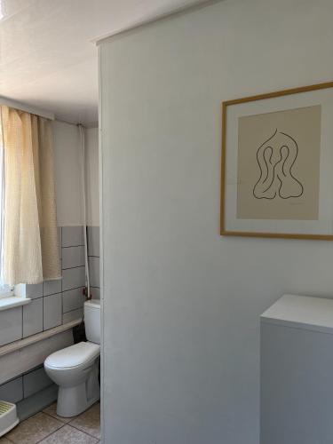 a bathroom with a toilet and a picture on the wall at Topoliu 16 guesthouse in Šventoji