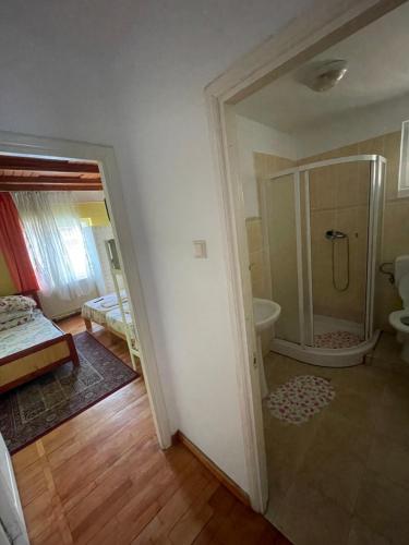 a room with a bathroom with a shower and a toilet at CONSTANTINESCU A. in Buşteni