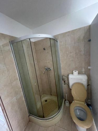 a bathroom with a shower and a toilet in it at CONSTANTINESCU A. in Buşteni