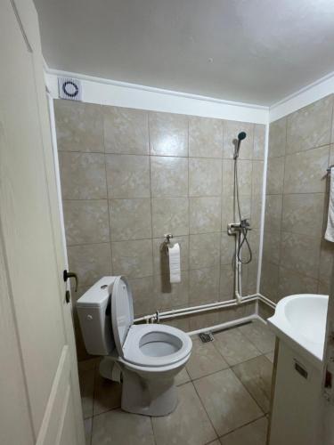 a bathroom with a toilet and a shower at CONSTANTINESCU A. in Buşteni