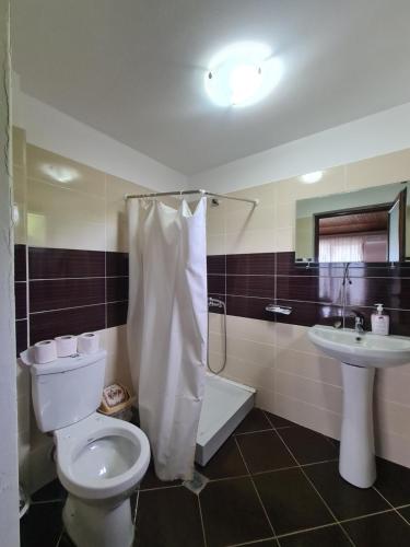 een badkamer met een toilet en een wastafel bij Hotel Kukesi in Pogradec