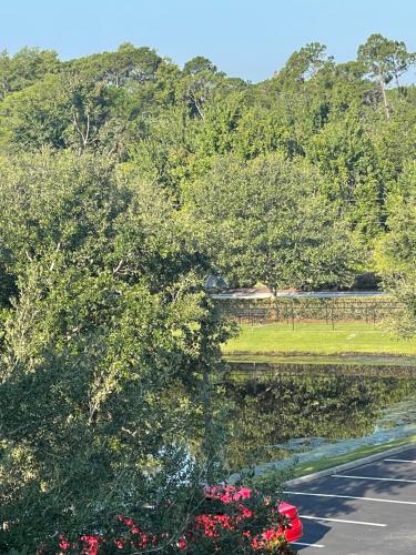 15 minutes way from Disney Condo Resort Pool Sleeps 10 photo 43