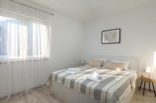 Apartment Why Not