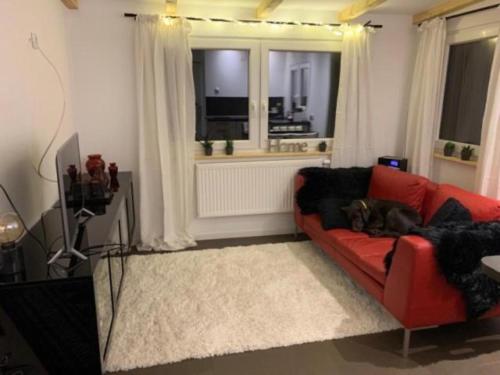 un perro tirado en un sofá rojo en una sala de estar en Carla am Strand, en Garrel