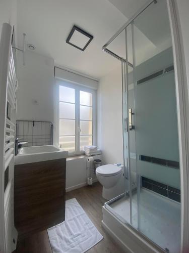 une salle de bain avec une douche en verre et des toilettes dans l'établissement Il y a de l'amour dans l'air - studio lit king size, à Arromanches-les-Bains