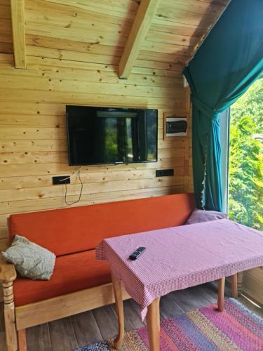 a living room with a couch and a tv at Yayla Bungalov in Ayder Yaylasi