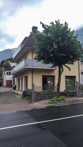 a house with a tree on the side of a street at Appartamenti Edolo - A 20 minuti da Ponte di Legno e Aprica in Edolo