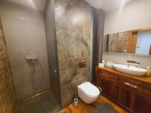 ein Bad mit einer Dusche, einem WC und einem Waschbecken in der Unterkunft A cozy room near warsaw in Michaelsthal