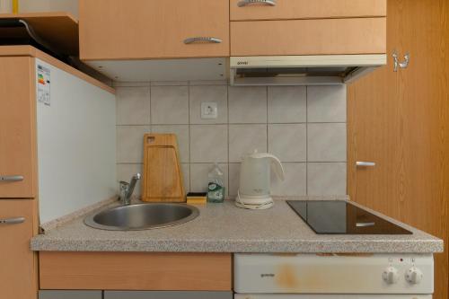 a kitchen counter with a sink and a mixer at Studio Apartment Dominika in Ljubljana