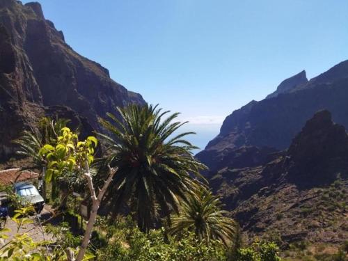 a palm tree and a van in the mountains at Live masca casatarucho in Buenavista del Norte