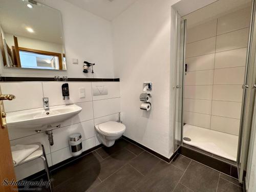 een badkamer met een toilet, een wastafel en een douche bij Schnütgenhof Übernachtung am Biggesee in Attendorn