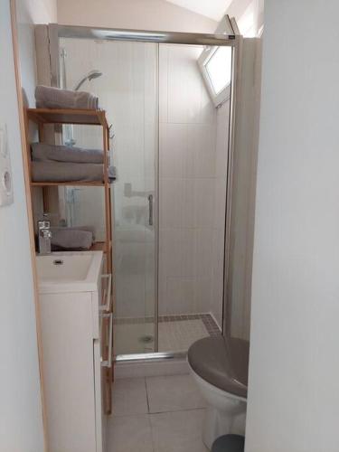 une salle de bain avec une douche, des toilettes et un lavabo dans l'établissement F3 2sdb proche centre et route des plages, à Montpellier