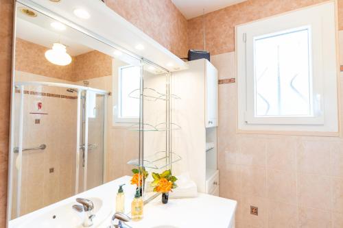 ein Bad mit einem Waschbecken, einer Dusche und einem Spiegel in der Unterkunft Clos Fleuri : Amboise Home with Amazing Gardens in Amboise