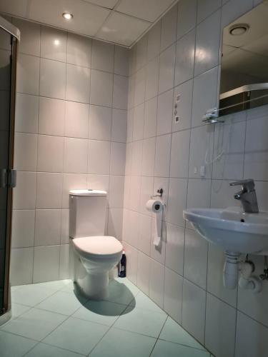 uma casa de banho com um WC e um lavatório em Cozy one bedroom apartment in city center em Taline