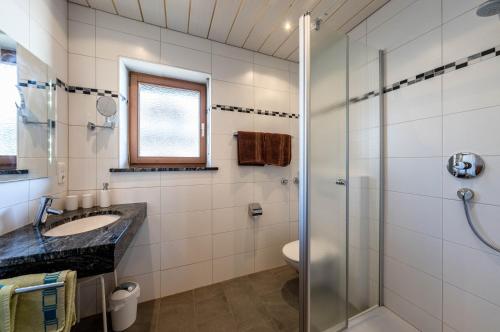 La salle de bains est pourvue d'une douche, d'un lavabo et de toilettes. dans l'établissement Soiernsee - Alpenblick Tilly, à Krün