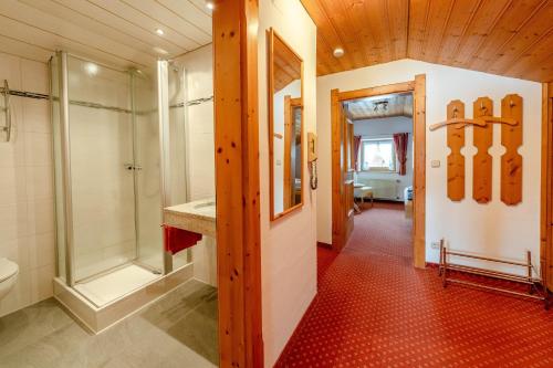 a bathroom with a walk in shower and a toilet at Walchensee - Alpenblick Tilly in Krün
