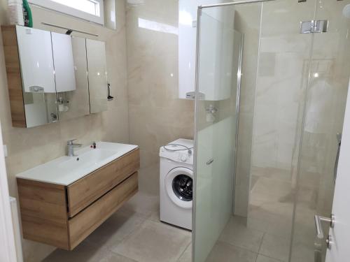 ein Badezimmer mit einem Waschbecken und einer Waschmaschine in der Unterkunft Villa LOE in Villach