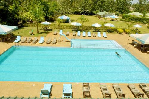 - une vue sur la piscine bordée de chaises et de parasols dans l'établissement EQUINE RESORT, à Gitura