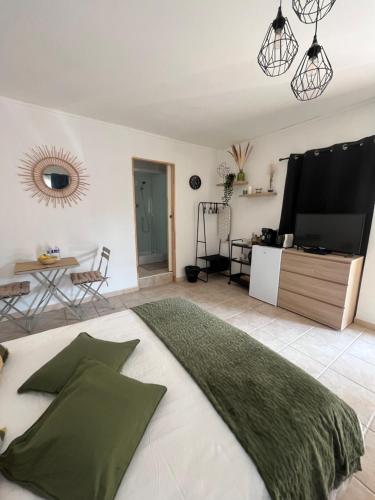 1 dormitorio con 1 cama grande y TV de pantalla plana en Studio chez joss, en Istres