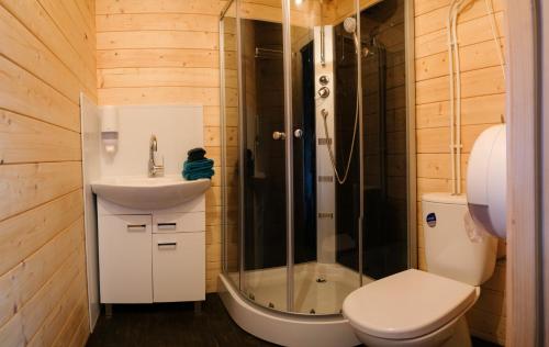 ein Bad mit einer Dusche, einem Waschbecken und einem WC in der Unterkunft Mark VI Mirotki 12 ImWald Bory Tucholskie in Skórcz
