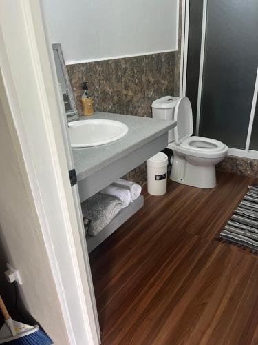 La salle de bains est pourvue d'un lavabo et de toilettes. dans l'établissement Apartment Rental, à Paix Bouche