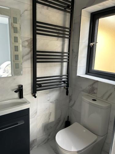 a bathroom with a toilet and a sink and a mirror at Stylish Killorglin Apartment in Killorglin