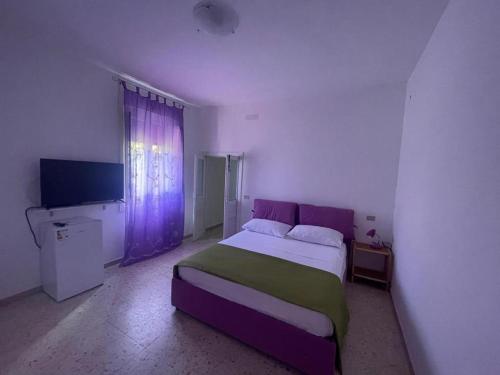 a bedroom with a large bed and a tv at Casa ALCA in Acquavella